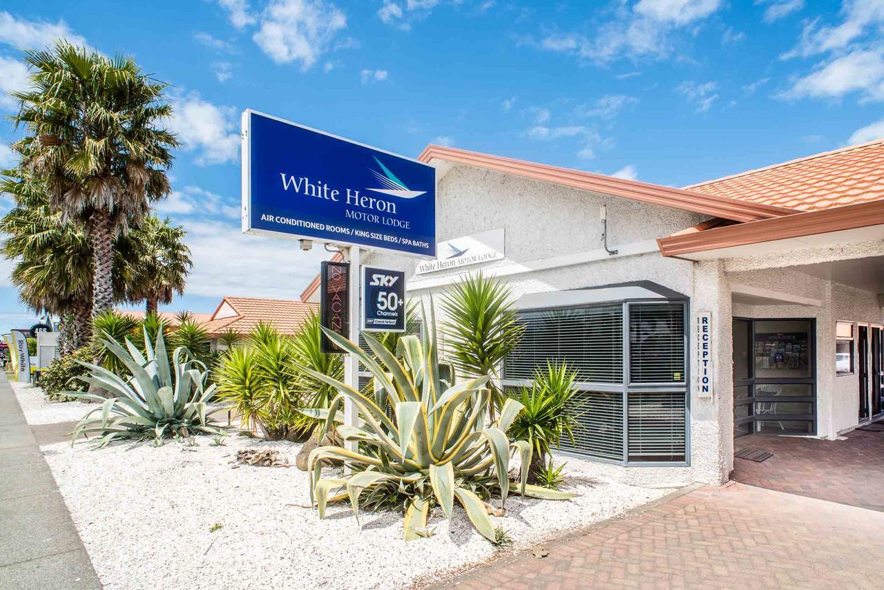 White Heron Motor Lodge 기즈번 외부 사진